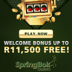 springbok casino R11500 welcome bonus